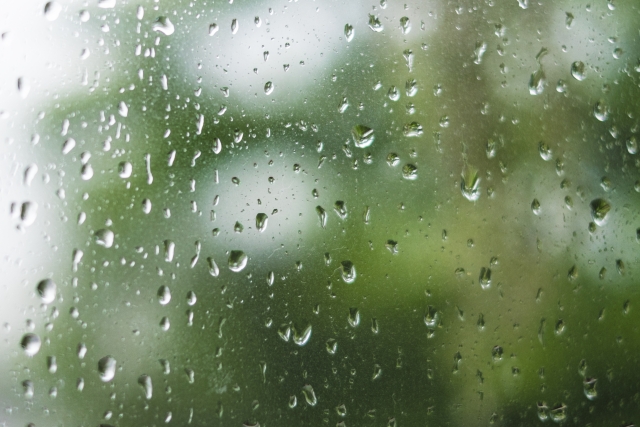 休日の雨